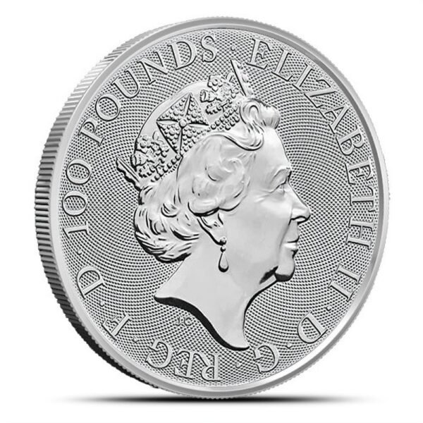 1 oz British Platinum Britannia Coin (Random Year) - Image 2