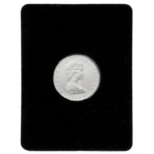 1979 Isle Of Man One Pound Proof Platinum Coin Triskellion on Island Boxed - Image 2
