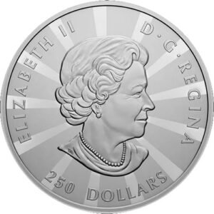 2023 1 Kilo Proof Canadian Silver Multifaceted Maple Leaf Coin