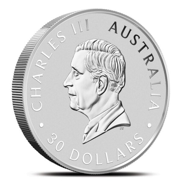 2025 1 Kilo Australian Silver Koala Coin (BU) - Image 2