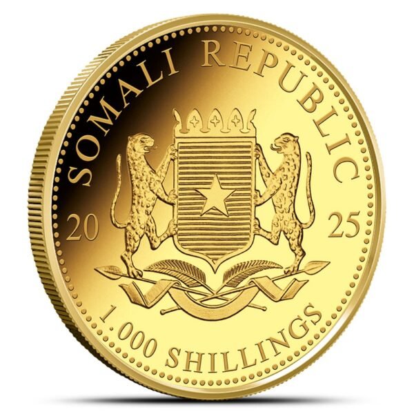 2025 1 oz Somalia Gold African Wildlife Leopard Coin (BU) - Image 2